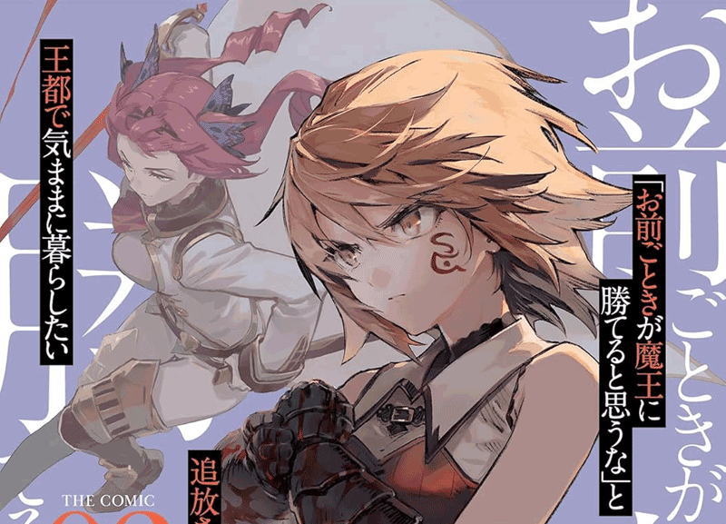 お前ごときが魔王に勝てると思うな第3巻表紙