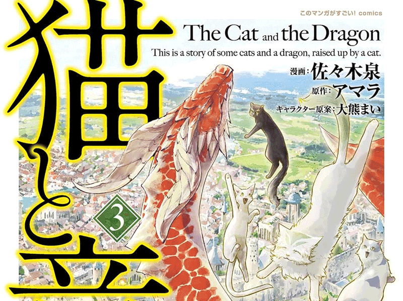 猫と竜第3巻表紙